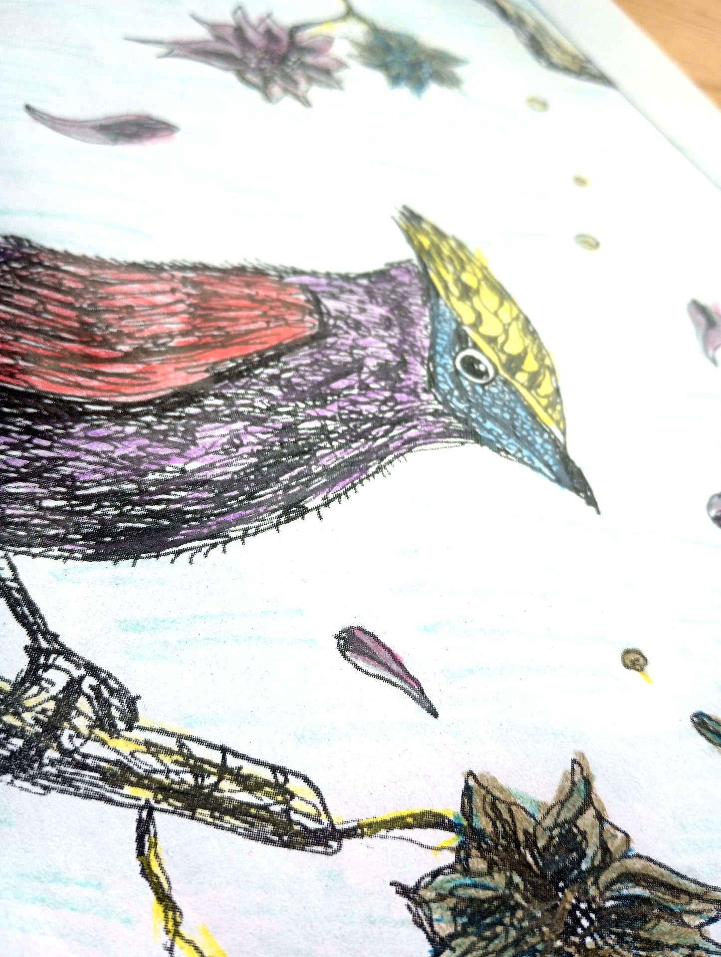 Surrealist Coloring Book ~ SURREALSCAPES